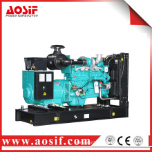 Diesel generators permanent magnet generator alternator alternative energy generators